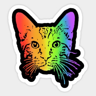 Rainbow Tabby Sticker